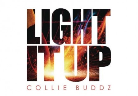 Collie Budz Light It Up