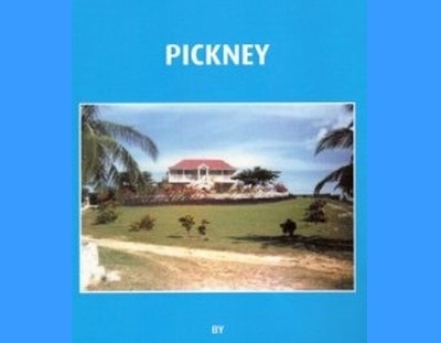 Buckra Massa Pickney by Enrico Stennett