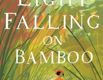 Light Falling on Bamboo