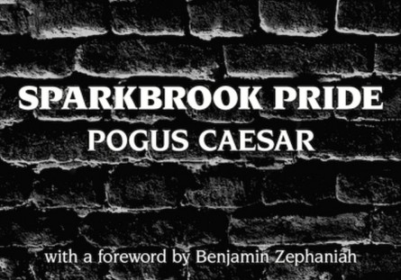 Sparkbrook Pride Pogus Caesar