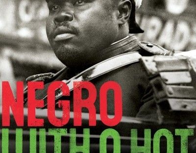 Negro wth a Hat The Rise and Fall of Marcus Garvey