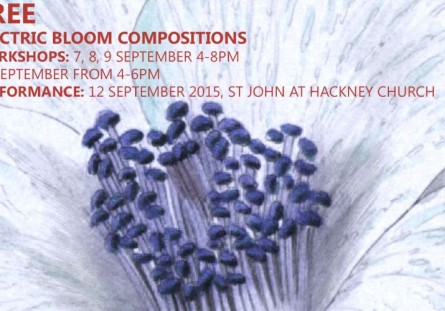 Electric Bloom Composition Workshop 2015