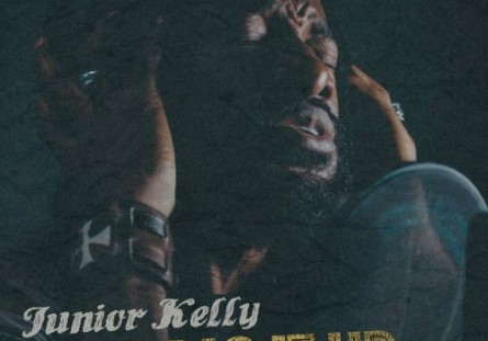 Junior Kelly No Dig it Up